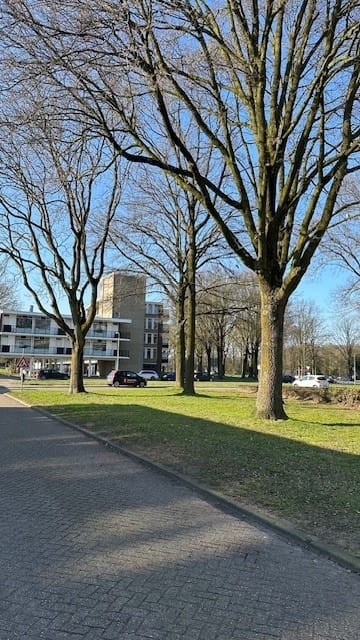 Foto 29 van Predikherenlaan 54