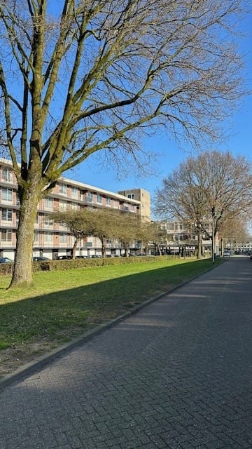 Foto 30 van Predikherenlaan 54