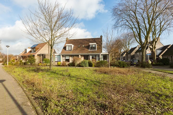 Foto 4 van Adelaar 2