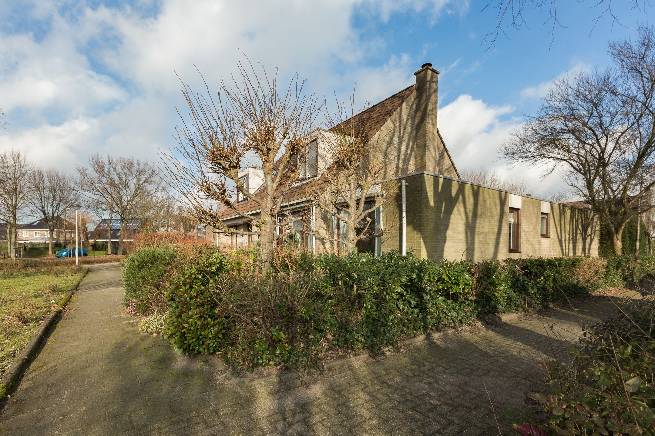 Foto 6 van Adelaar 2