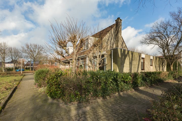 Foto 6 van Adelaar 2