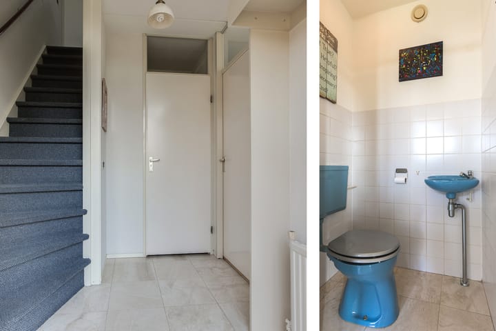 Foto 9 van Adelaar 2