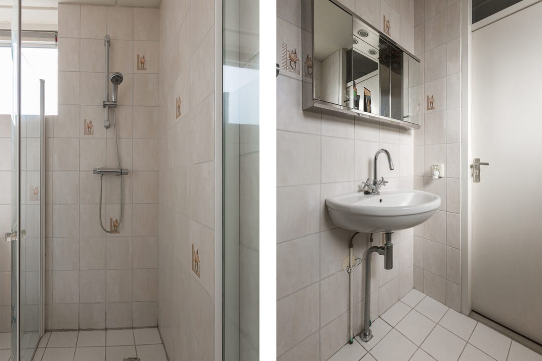 Foto 22 van Adelaar 2