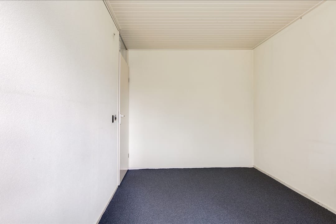 Foto 28 van Adelaar 2