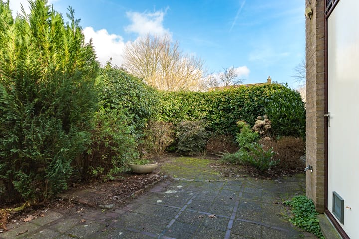 Foto 31 van Adelaar 2