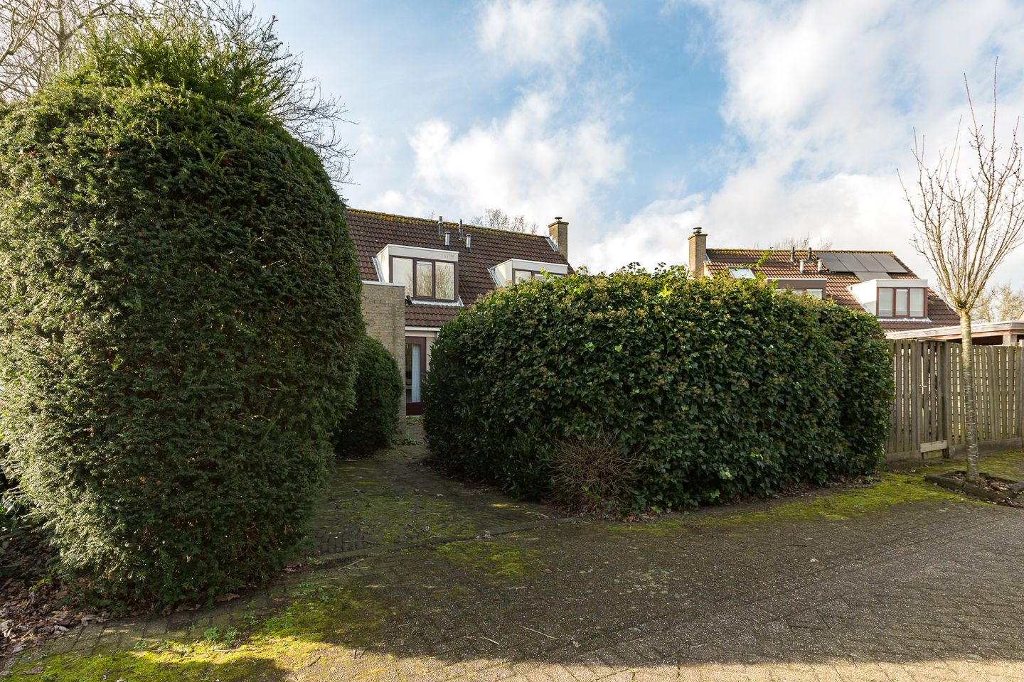 Foto 34 van Adelaar 2