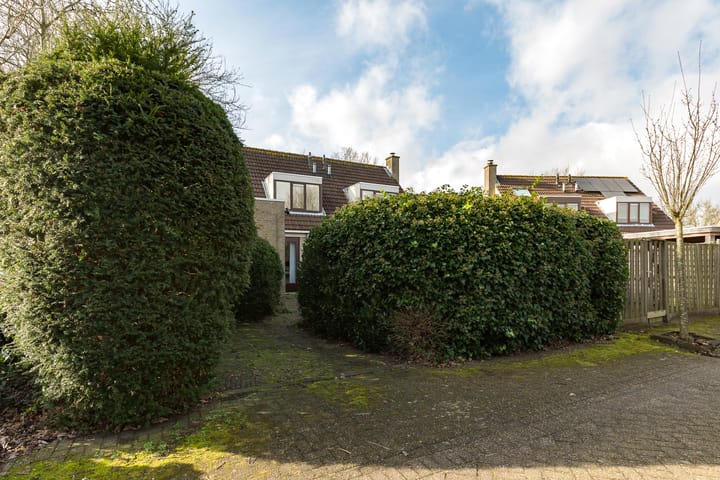 Foto 34 van Adelaar 2