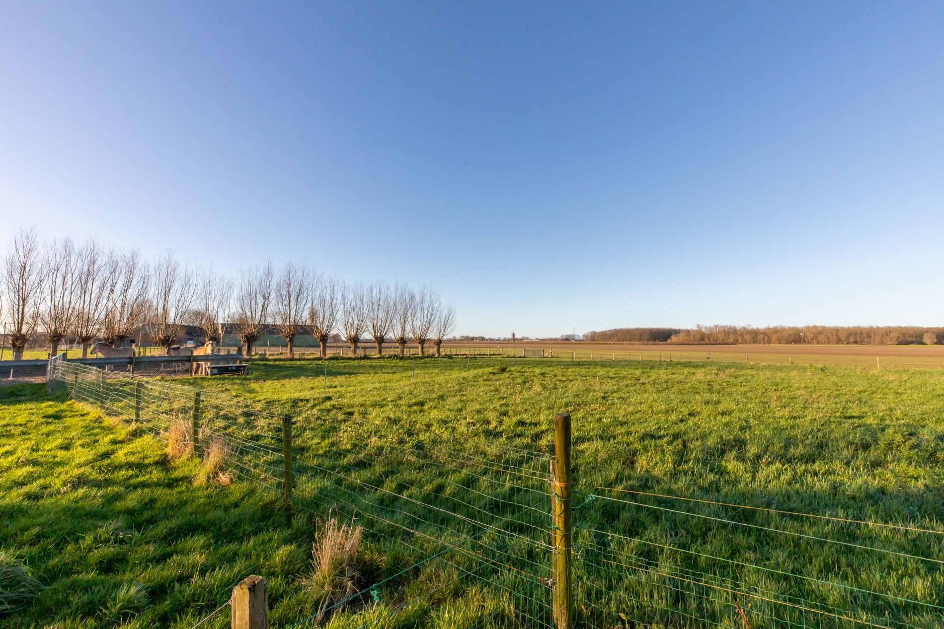 Foto 12 van Hoekseweg 5