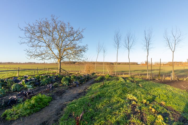 Foto 10 van Hoekseweg 5