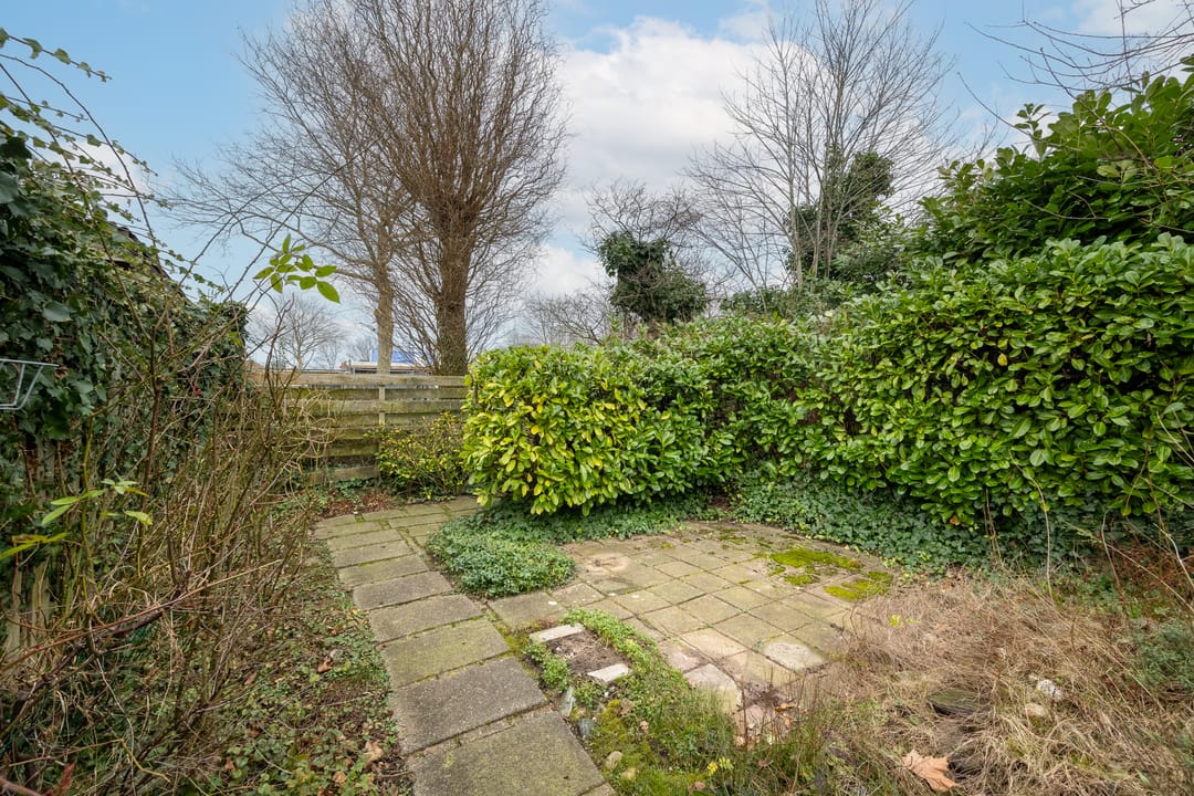 Foto 11 van Braamsluiper 54