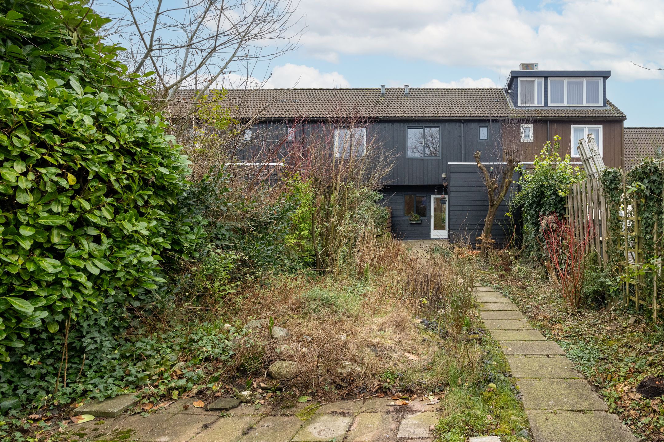 Foto 12 van Braamsluiper 54