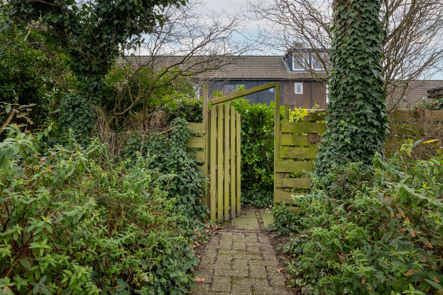 Foto 14 van Braamsluiper 54