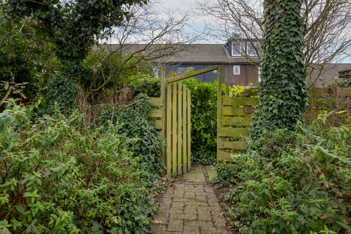 Foto 14 van Braamsluiper 54