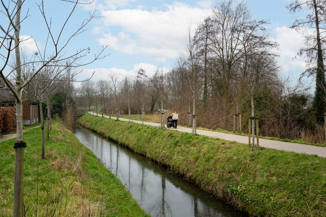 Foto 26 van Braamsluiper 54