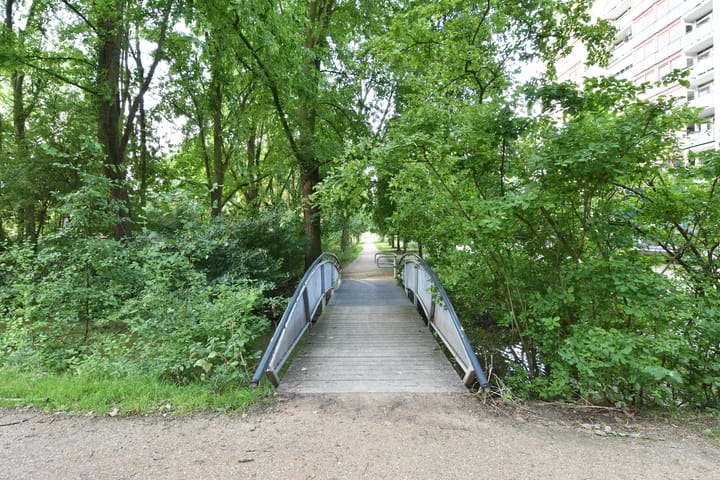 Foto 28 van Parkzoom 25