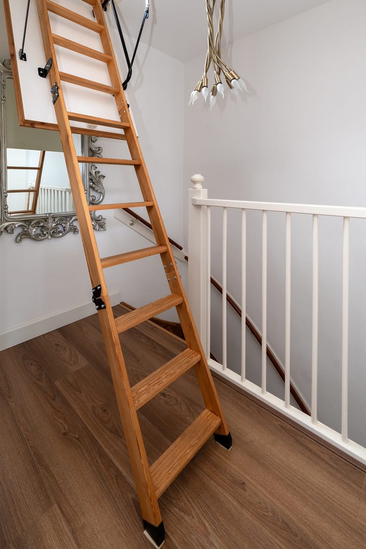 Photo 22 of Zuideras 41