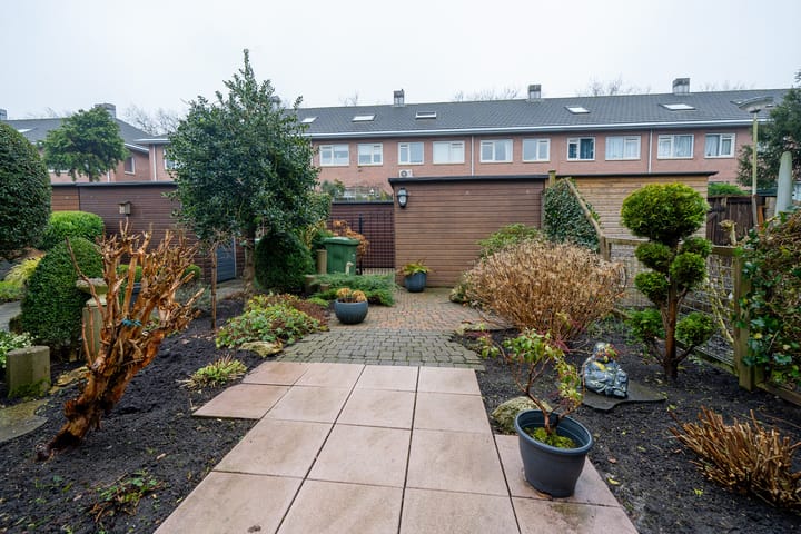 Photo 32 of Zuideras 41