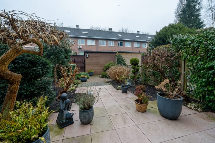 Photo 33 of Zuideras 41