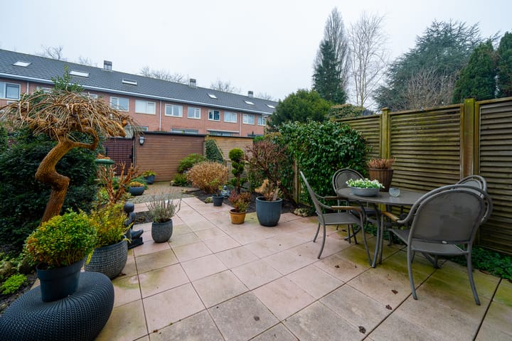 Photo 34 of Zuideras 41