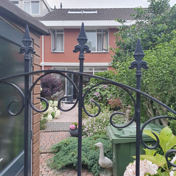 Photo 35 of Zuideras 41