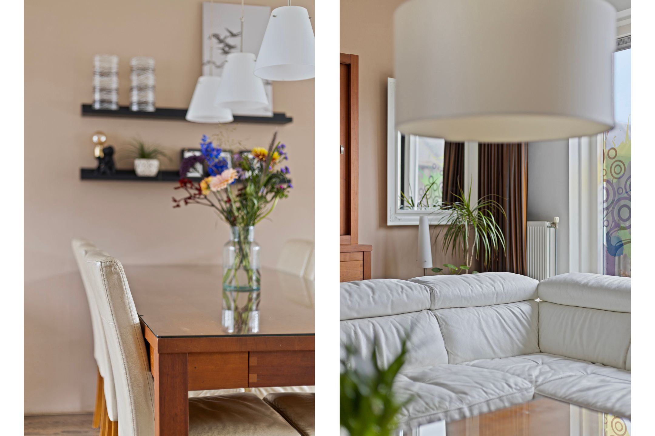 Foto 6 van Rietoever 24