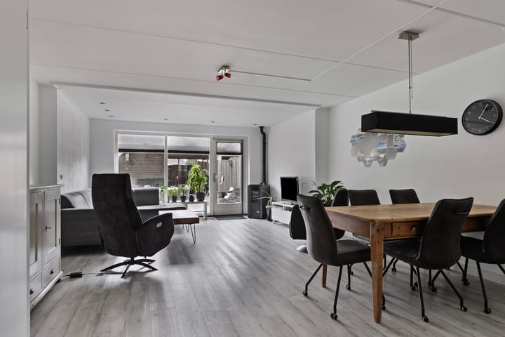 Foto 7 van Hoefblad 29