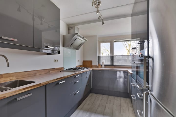 Foto 12 van Hoefblad 29