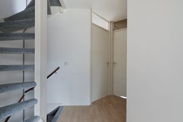 Foto 15 van Hoefblad 29