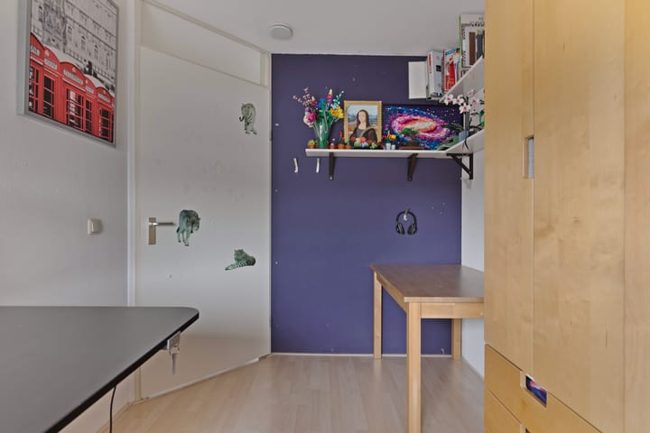 Foto 19 van Hoefblad 29