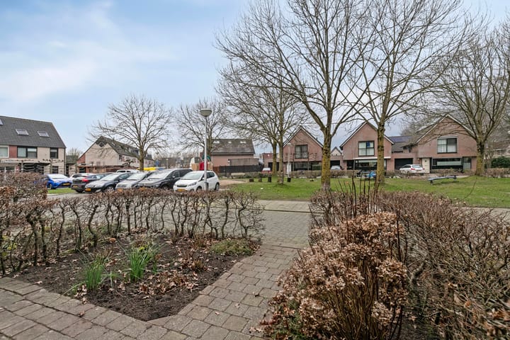 Foto 32 van Hoefblad 29