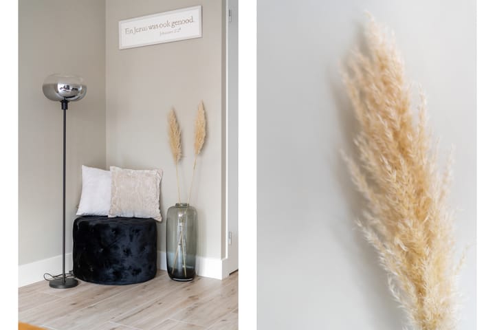 Foto 6 van Boerhaavestraat 51