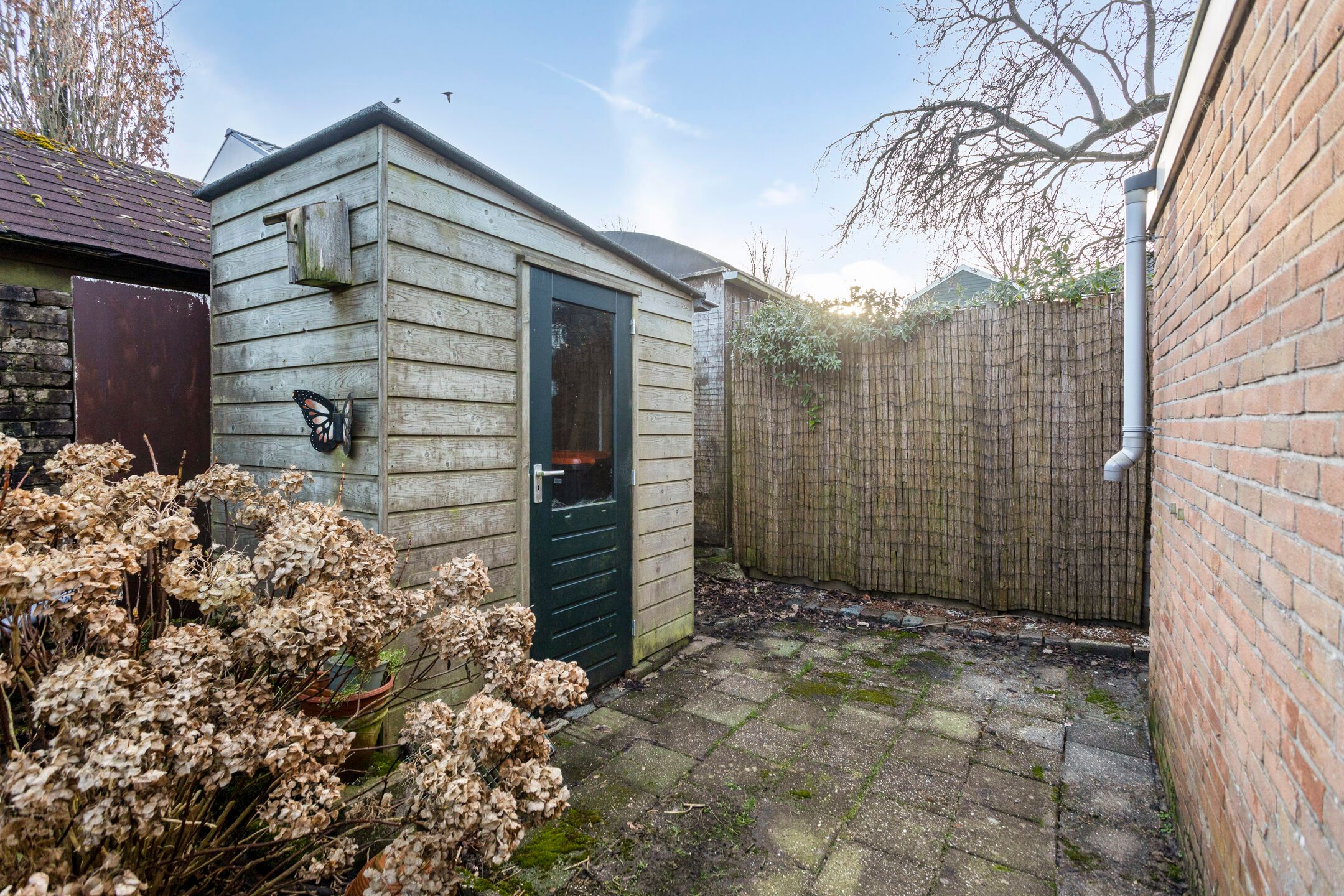 Foto 48 van Adriaen Boomstraat 8