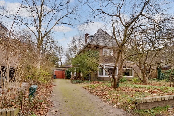 Foto 3 van Jan Willem Frisolaan 13