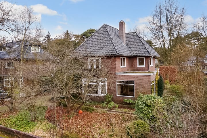 Foto 4 van Jan Willem Frisolaan 13