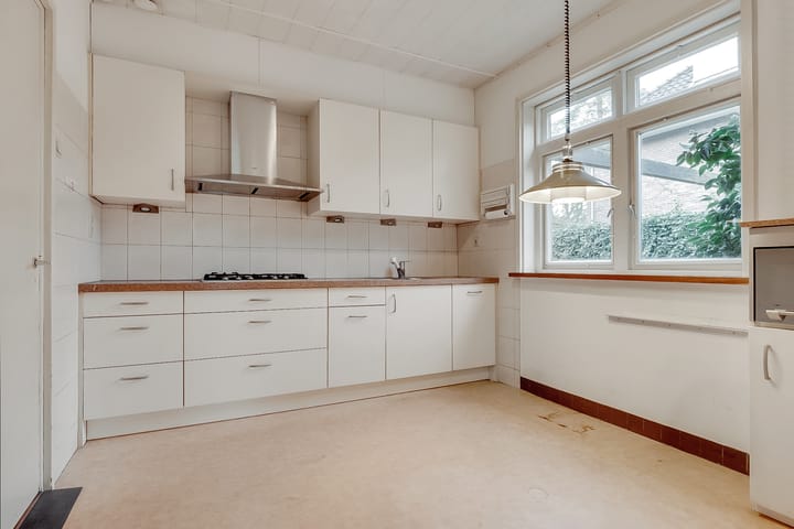 Foto 15 van Jan Willem Frisolaan 13