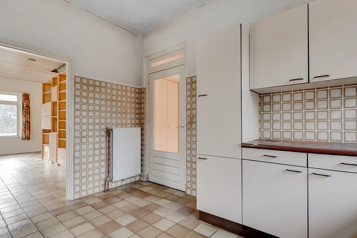 Foto 19 van Jan Willem Frisolaan 13