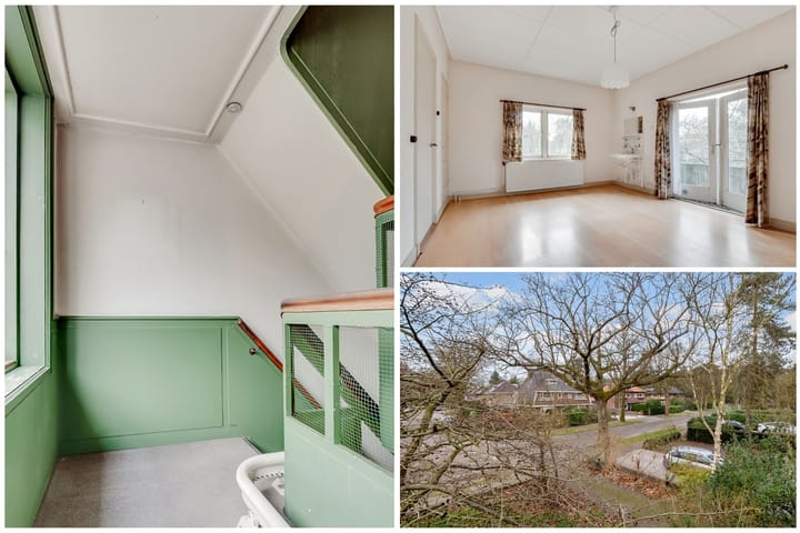 Foto 21 van Jan Willem Frisolaan 13