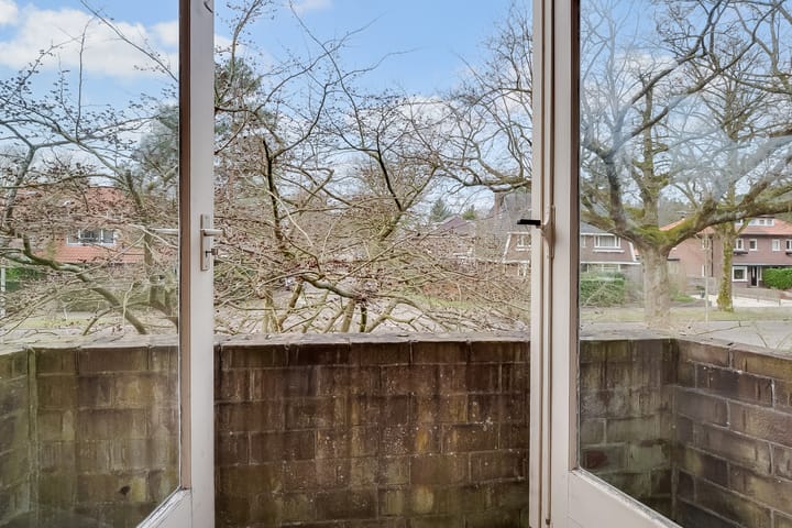 Foto 24 van Jan Willem Frisolaan 13