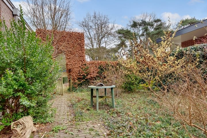 Foto 32 van Jan Willem Frisolaan 13