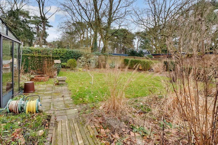 Foto 34 van Jan Willem Frisolaan 13