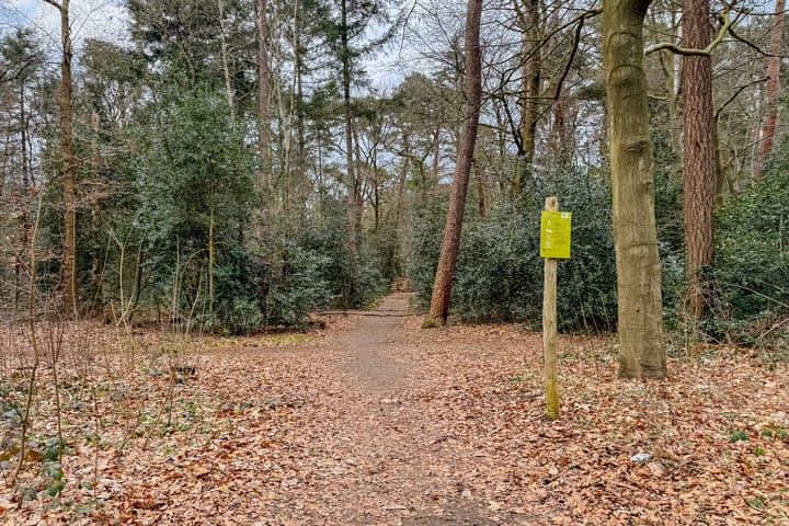 Foto 36 van Jan Willem Frisolaan 13