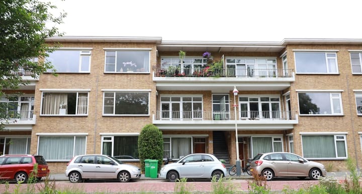 Foto 2 van Carel Reinierszkade 171