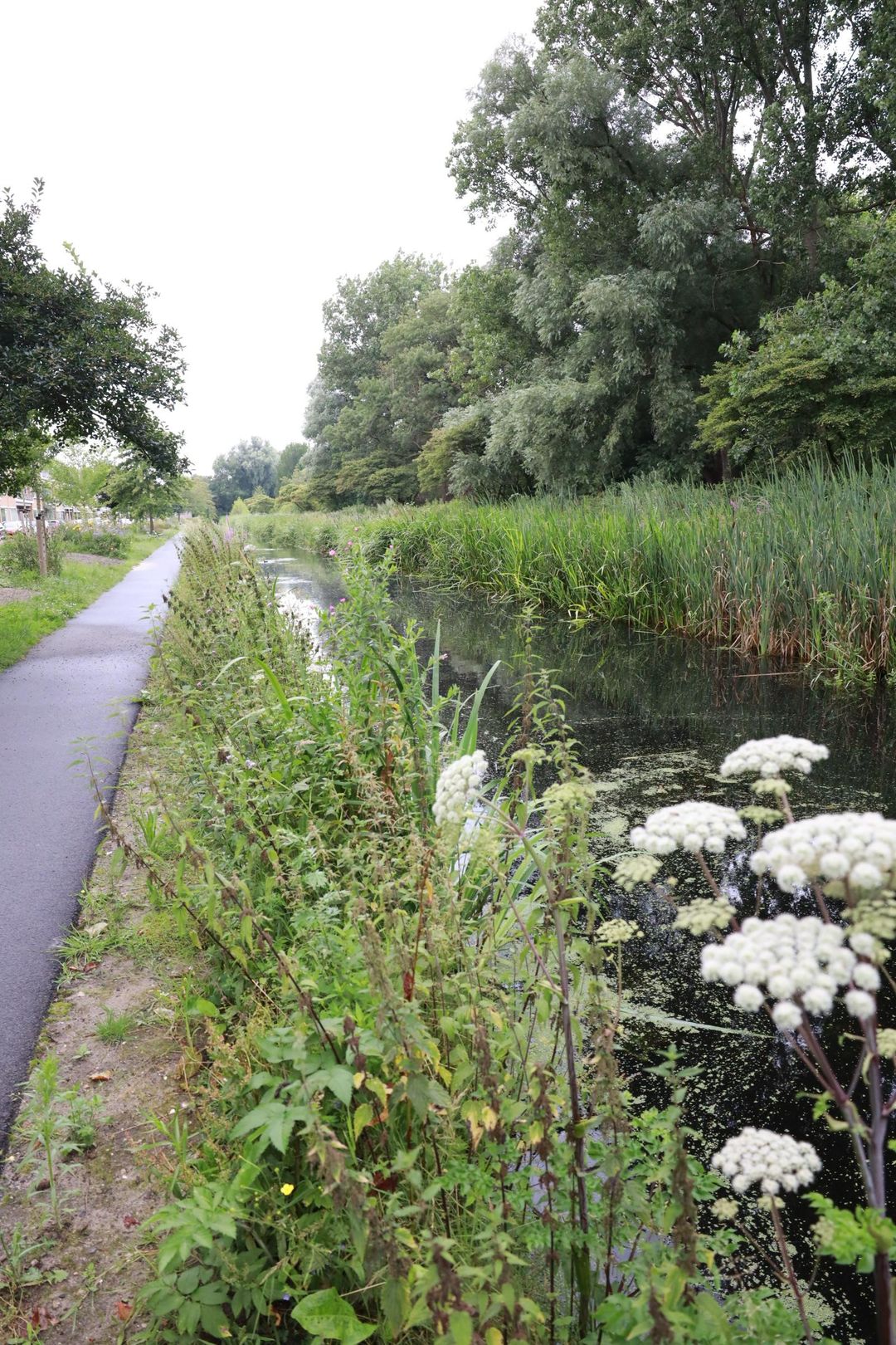 Foto 37 van Carel Reinierszkade 171