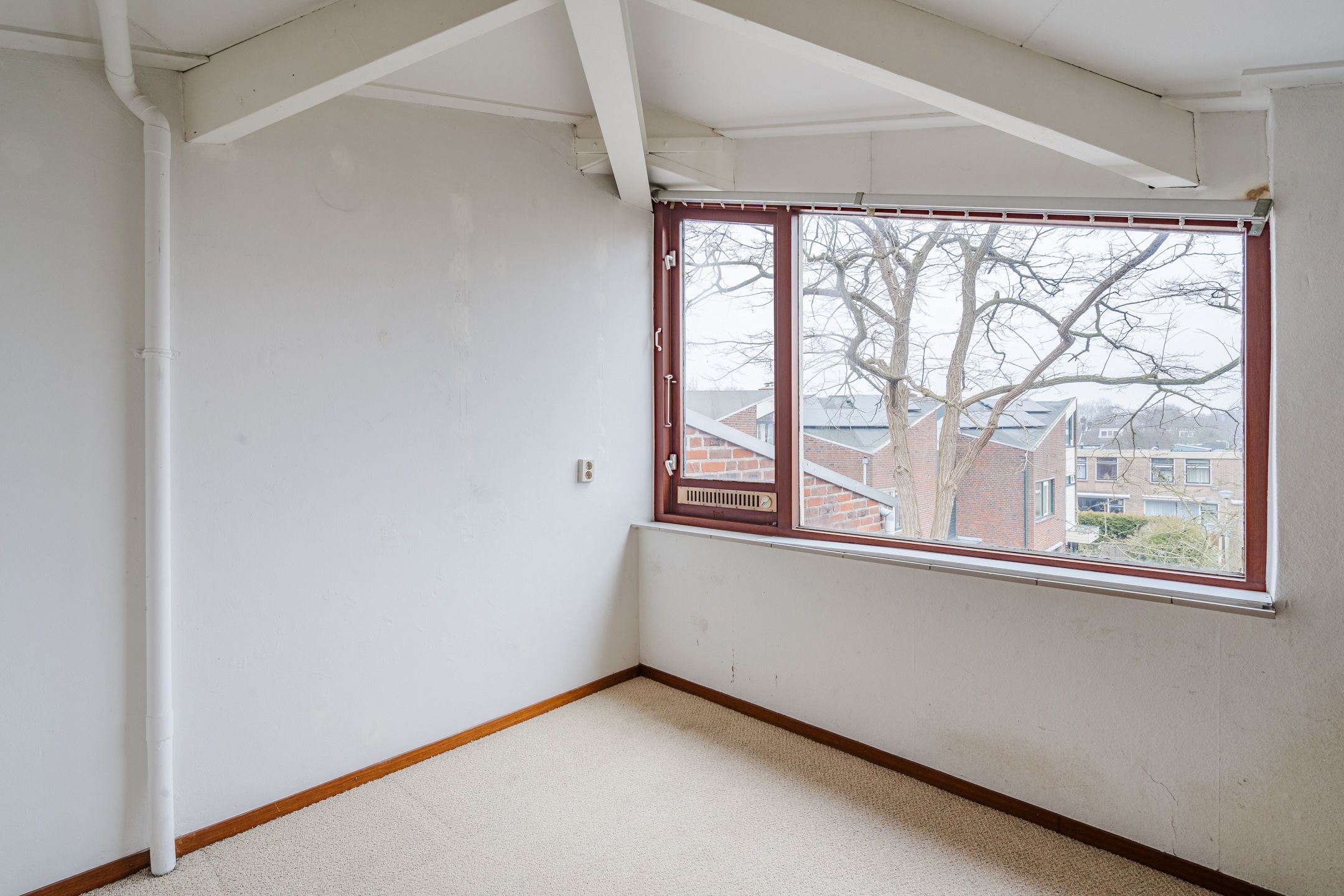 Foto 30 van Ribeshof 12