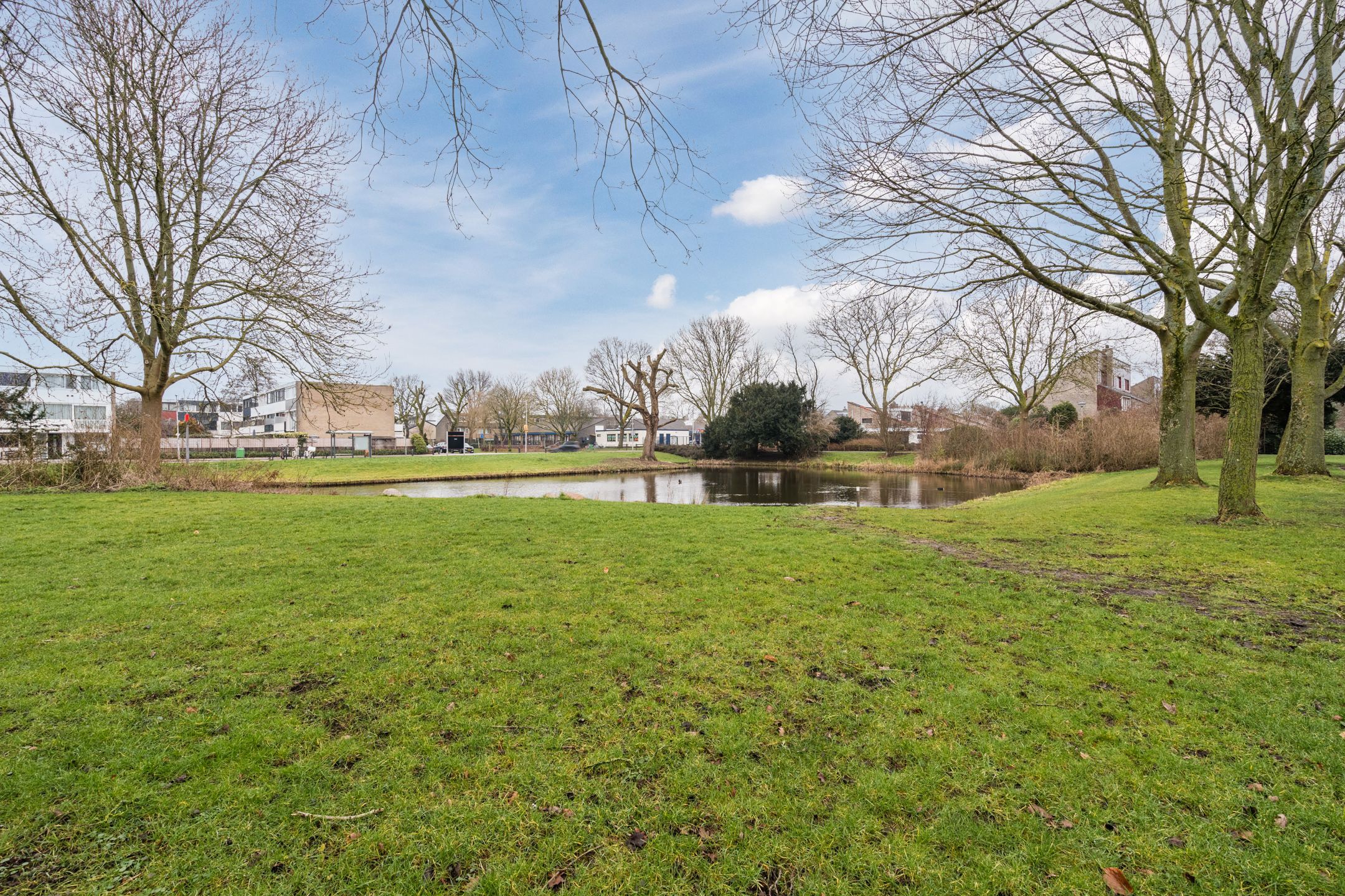 Foto 48 van Ribeshof 12