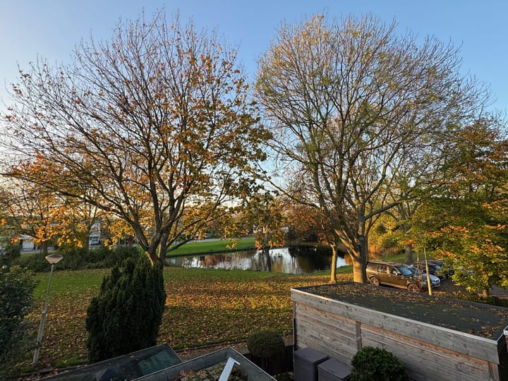 Foto 49 van Ribeshof 12