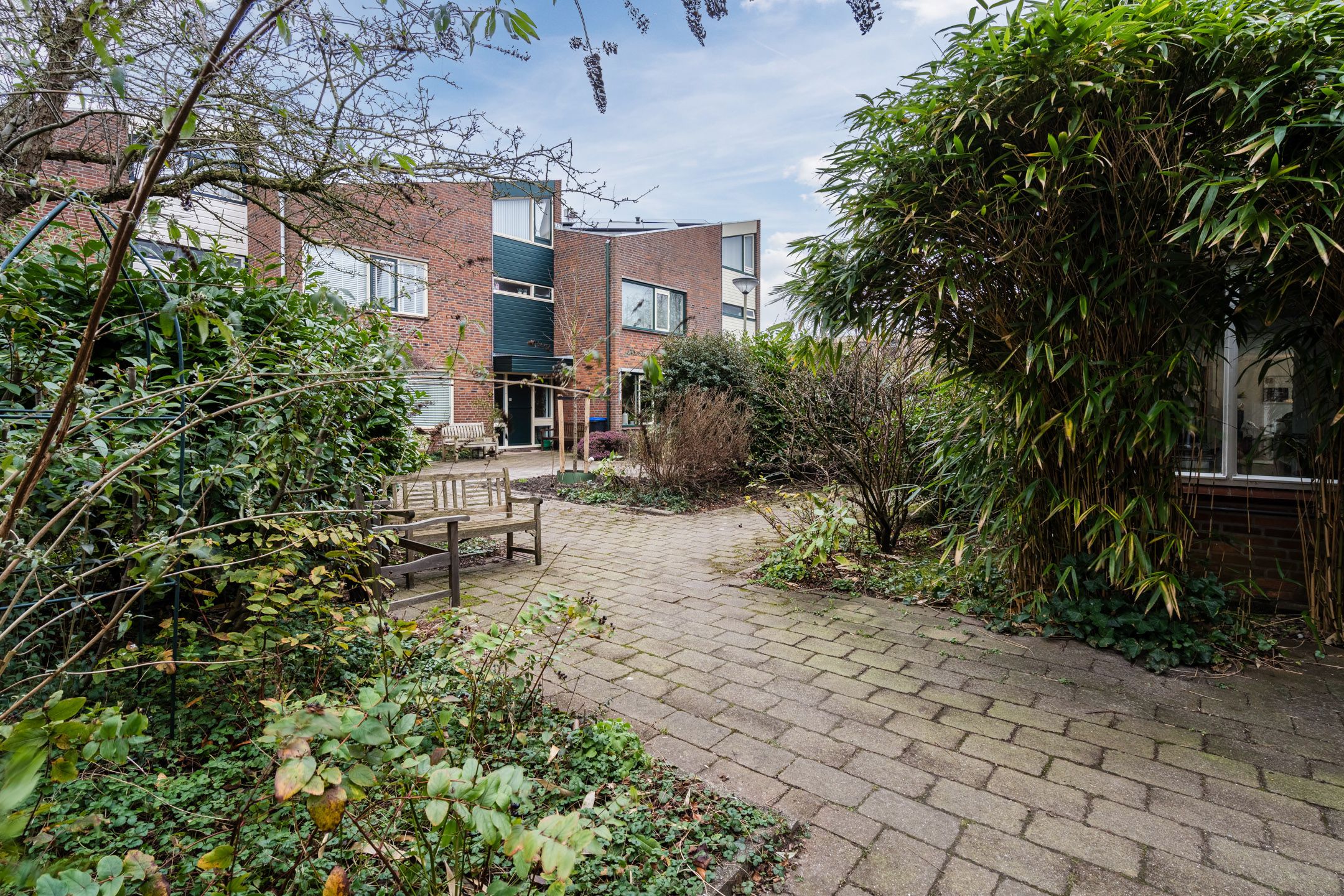 Foto 54 van Ribeshof 12