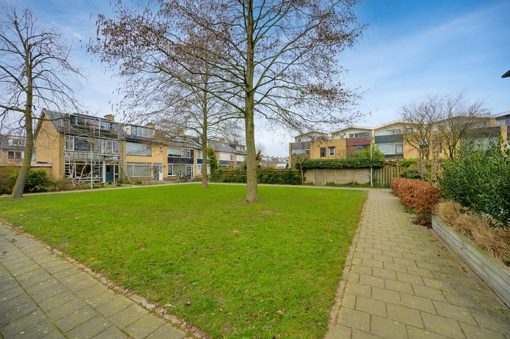 Photo 36 of Groene Zoom 83