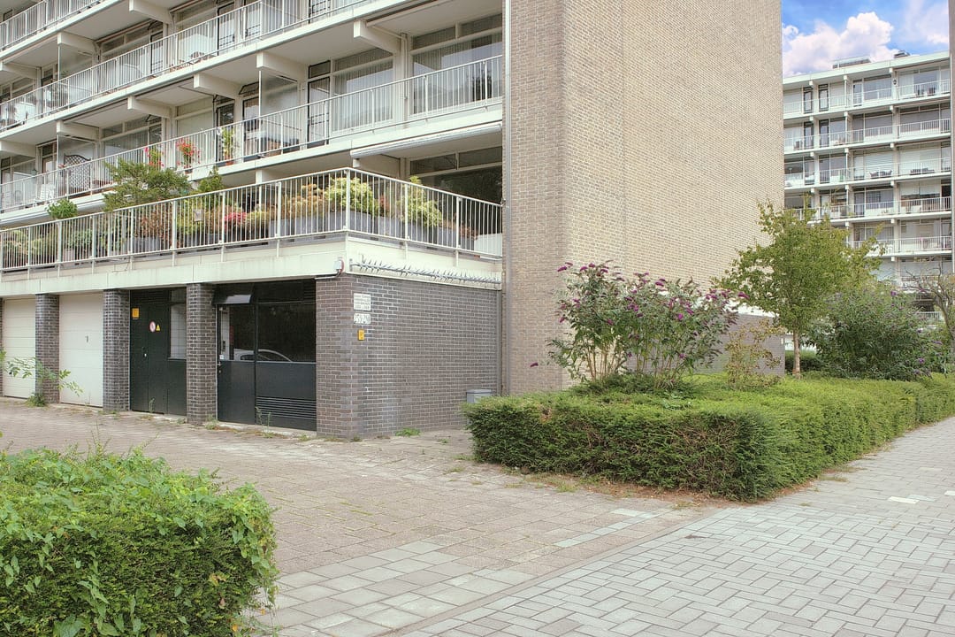 Foto 2 van Suzannaland 282