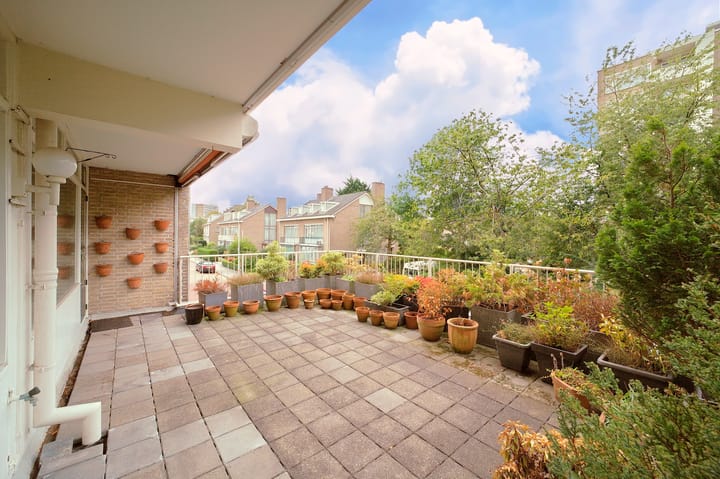 Foto 12 van Suzannaland 282